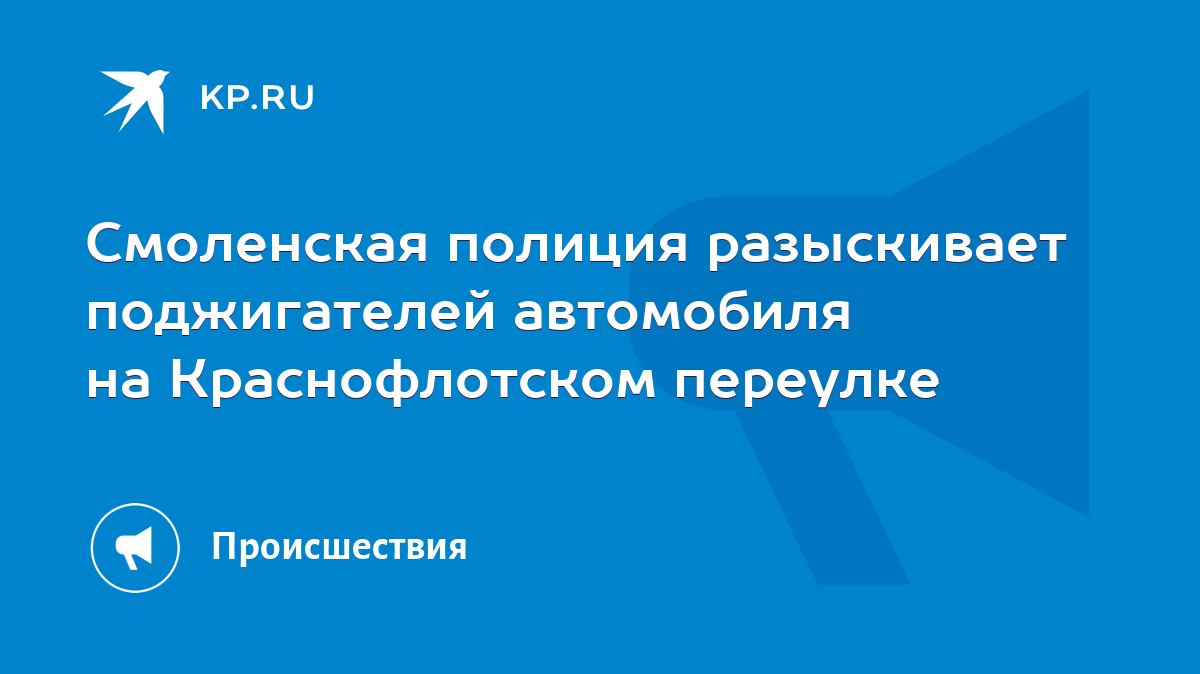 Смоленская полиция разыскивает поджигателей автомобиля на Краснофлотском  переулке - KP.RU