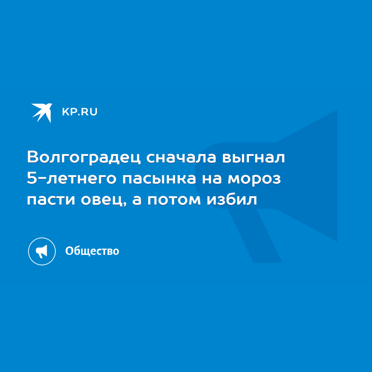 Волгоградец сначала выгнал 5-летнего пасынка на мороз пасти овец, а потом  избил - KP.RU