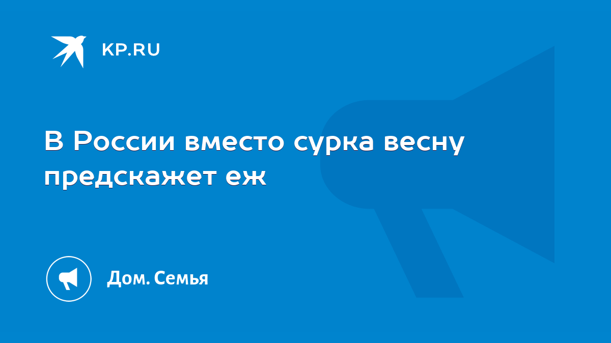 В России вместо сурка весну предскажет еж - KP.RU