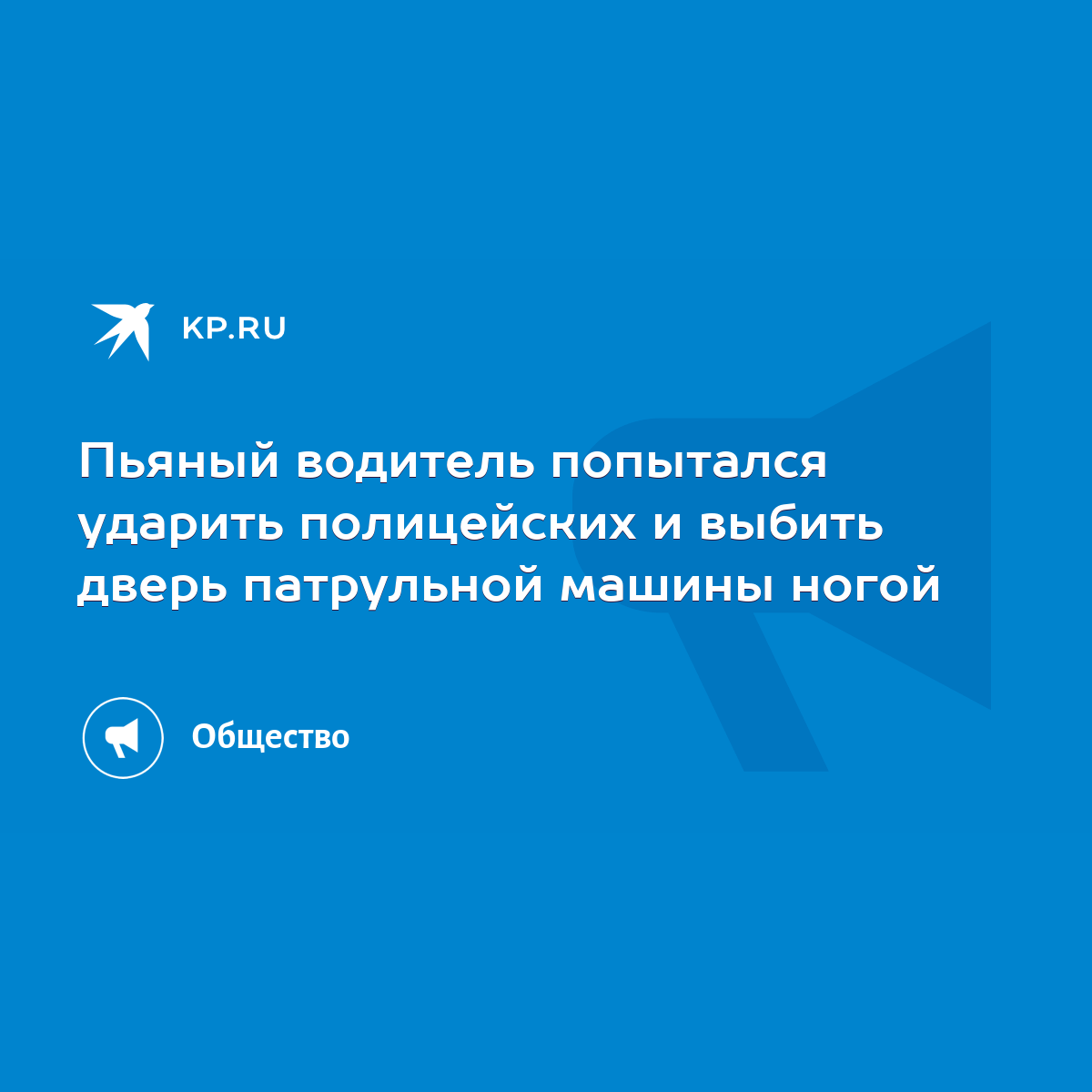 Пьяный водитель попытался ударить полицейских и выбить дверь патрульной  машины ногой - KP.RU