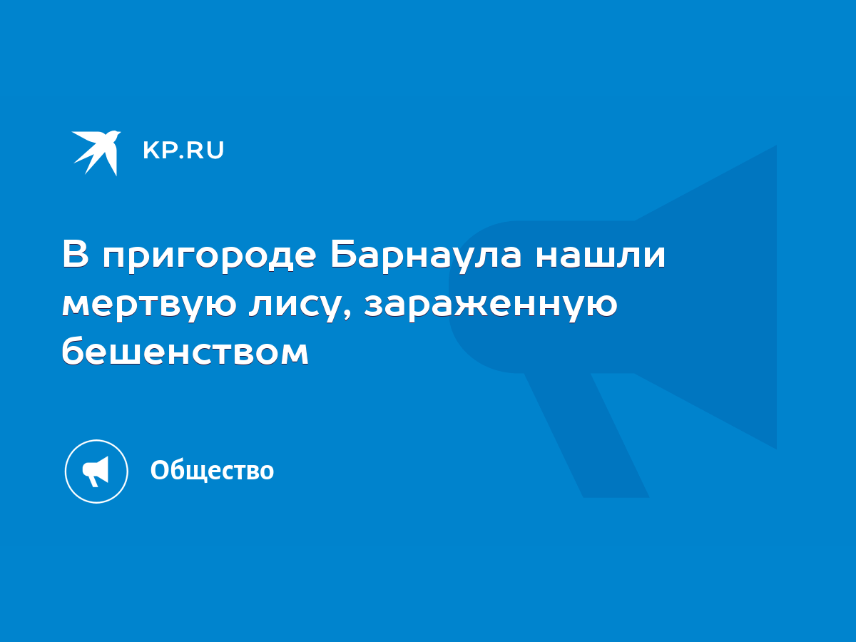 В пригороде Барнаула нашли мертвую лису, зараженную бешенством - KP.RU