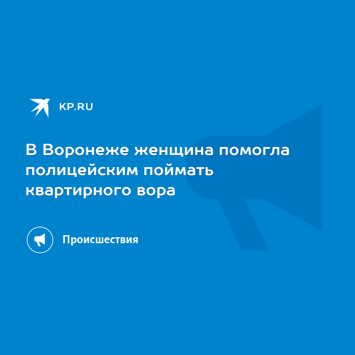 В Воронеже женщина помогла полицейским поймать квартирного вора - KP.RU