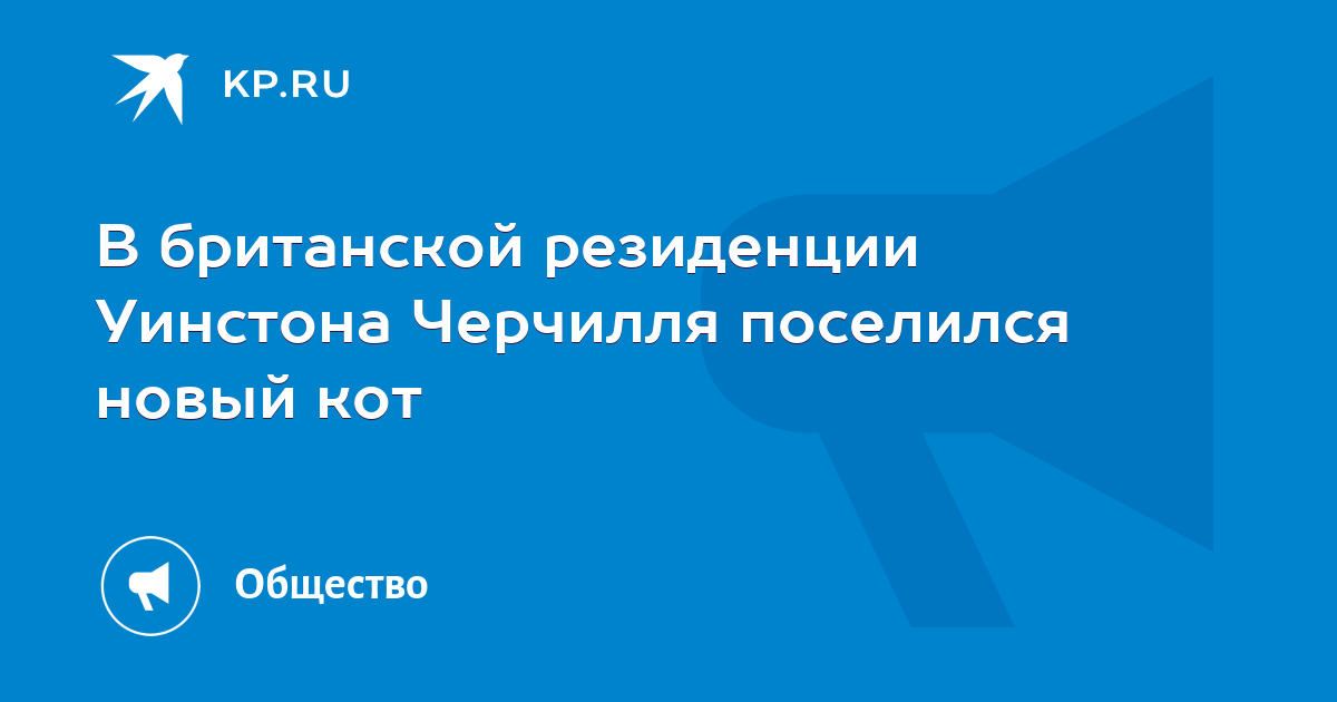 В британской резиденции Уинстона Черчилля поселился новый кот - KP.RU