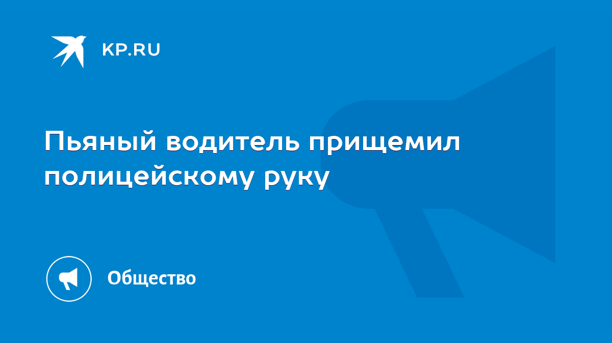 Пьяный водитель прищемил полицейскому руку - KP.RU