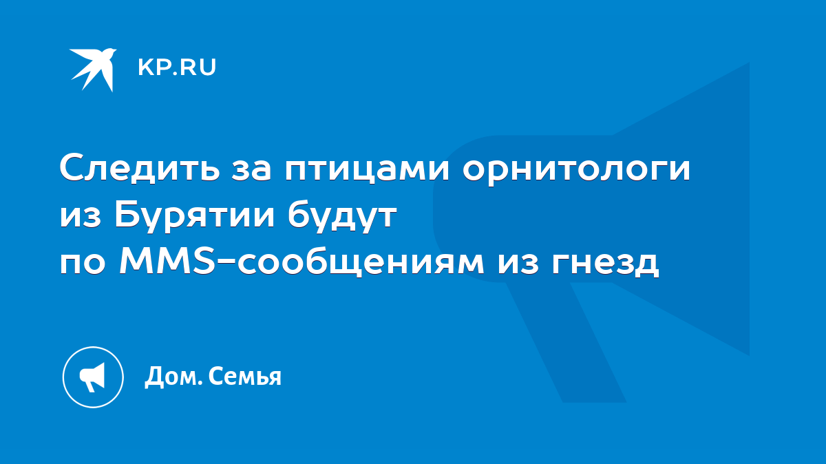 Следить за птицами орнитологи из Бурятии будут по MMS-сообщениям из гнезд -  KP.RU