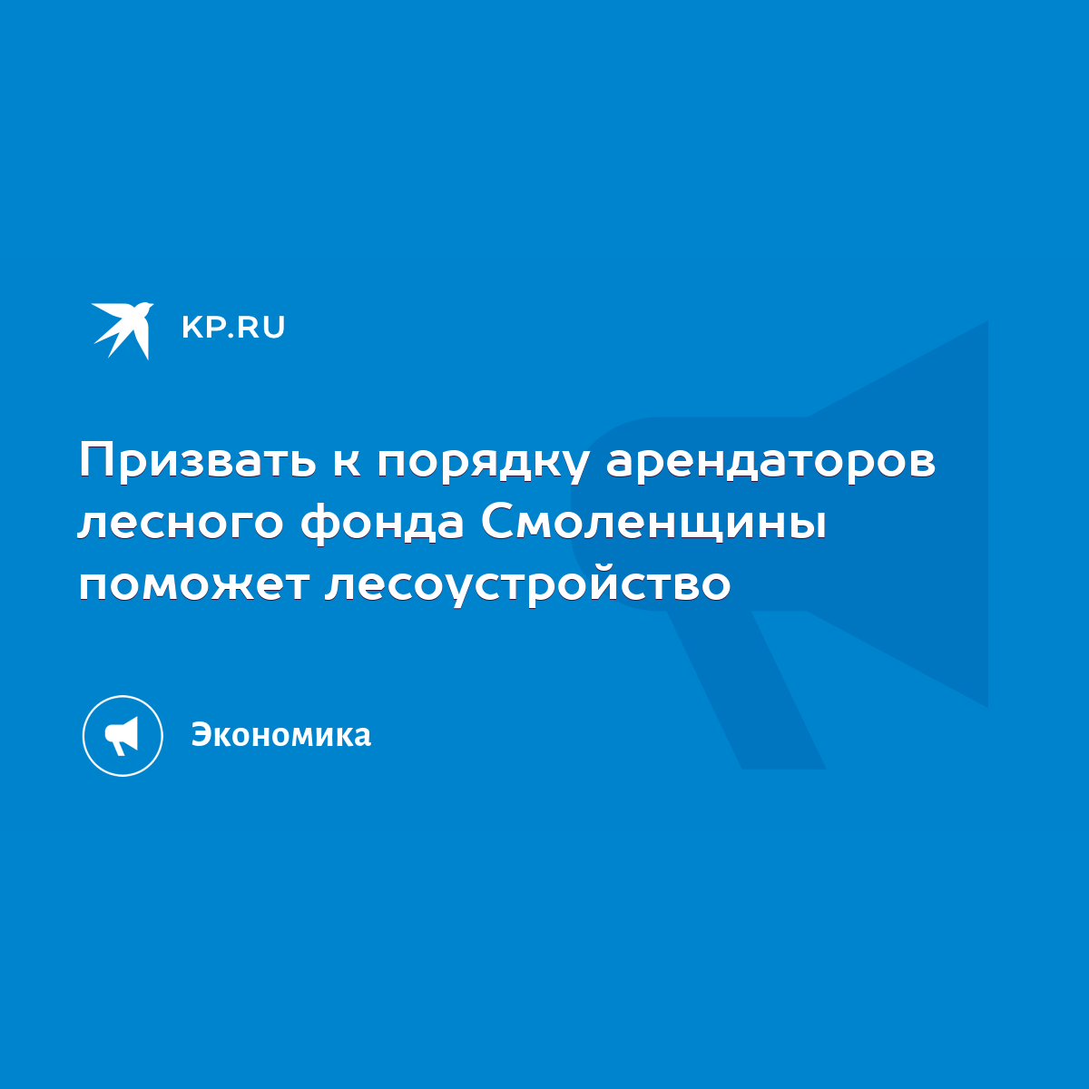 Призвать к порядку арендаторов лесного фонда Смоленщины поможет  лесоустройство - KP.RU