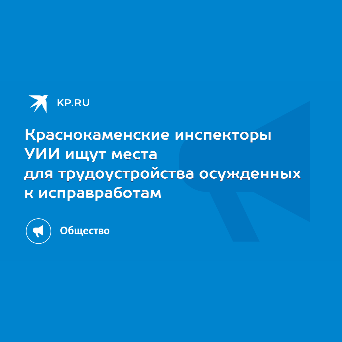 Краснокаменские инспекторы УИИ ищут места для трудоустройства осужденных к  исправработам - KP.RU