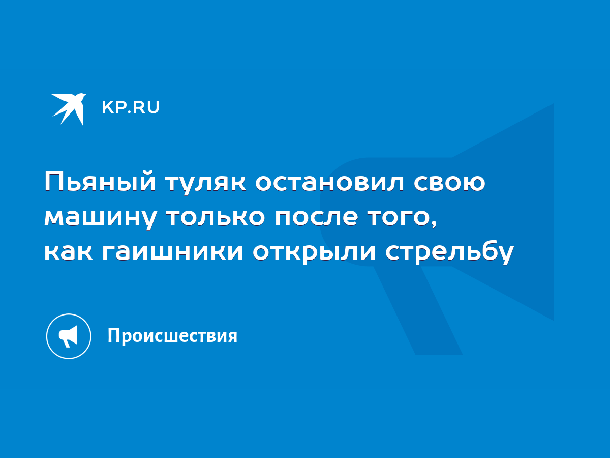 Пьяный туляк остановил свою машину только после того, как гаишники открыли  стрельбу - KP.RU