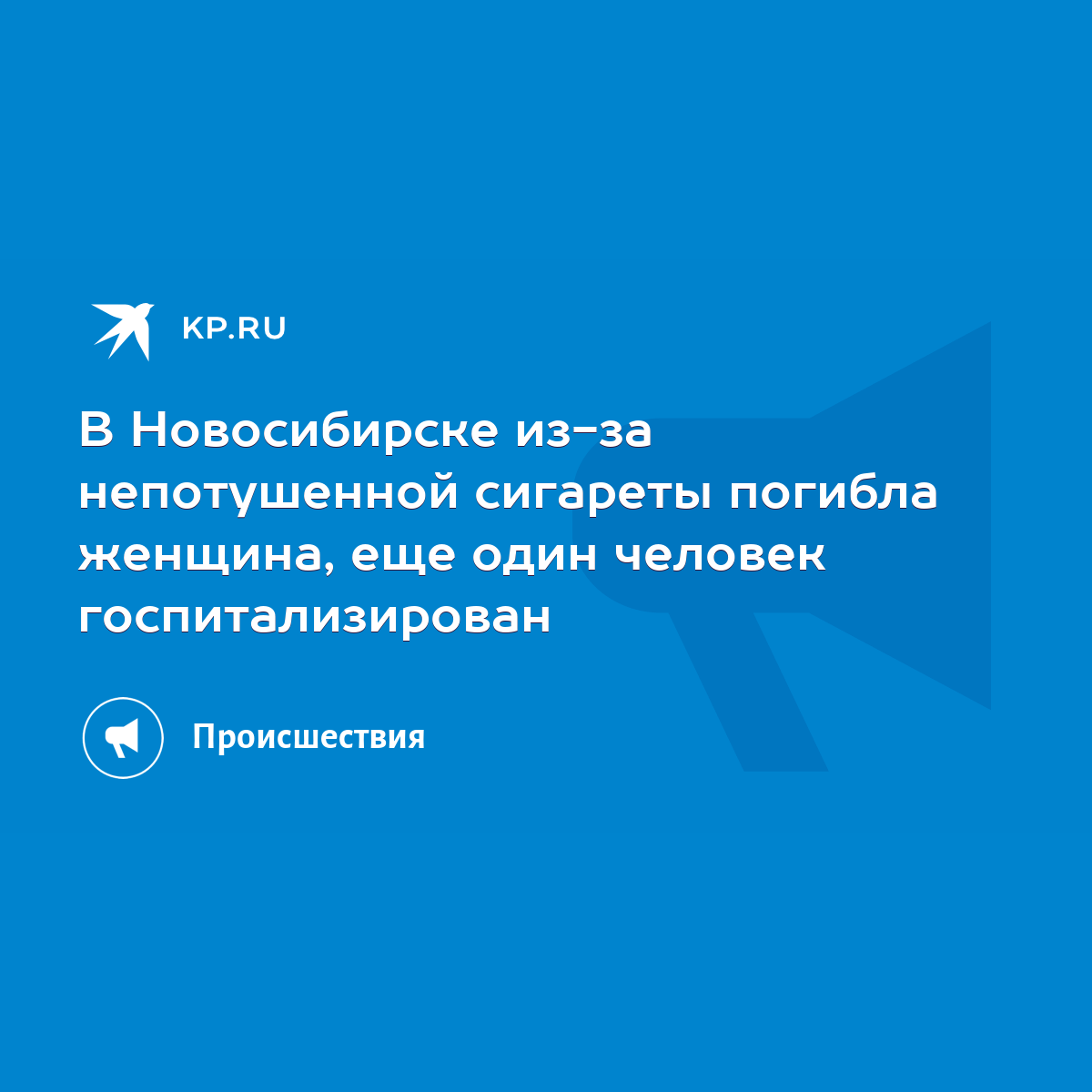 В Новосибирске из-за непотушенной сигареты погибла женщина, еще один  человек госпитализирован - KP.RU