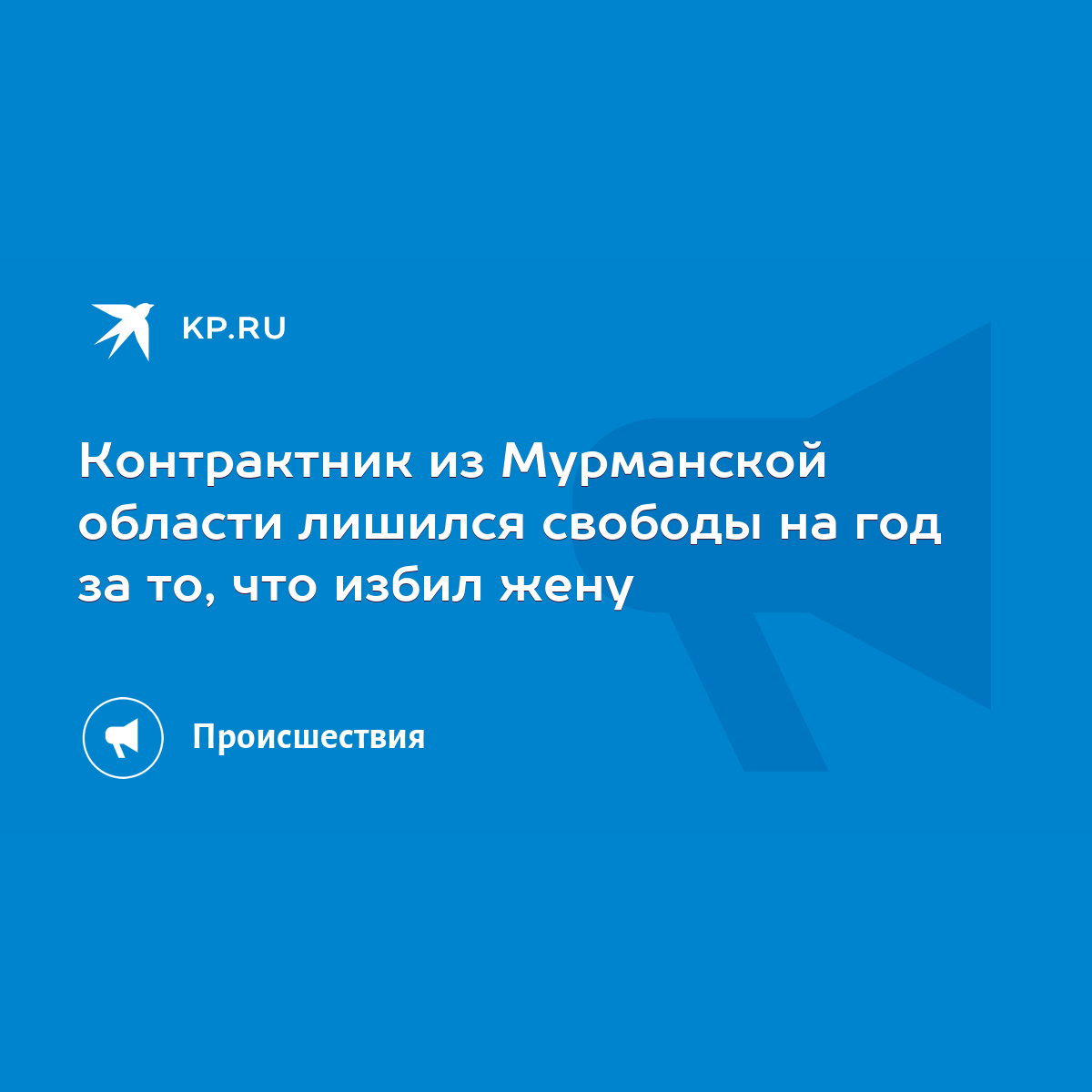 Контрактник из Мурманской области лишился свободы на год за то, что избил  жену - KP.RU