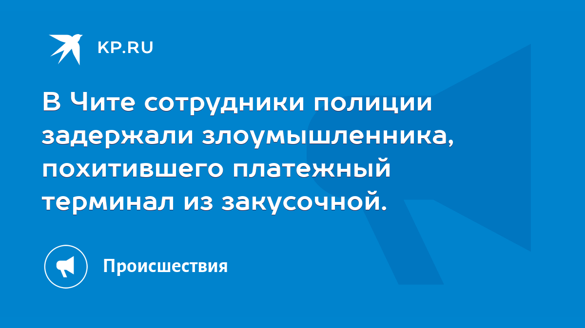 В Чите сотрудники полиции задержали злоумышленника, похитившего платежный  терминал из закусочной. - KP.RU