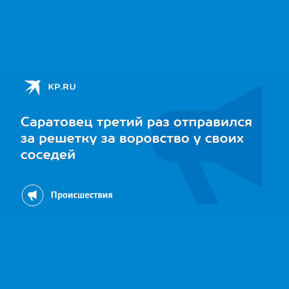 Саратовец третий раз отправился за решетку за воровство у своих соседей -  KP.RU