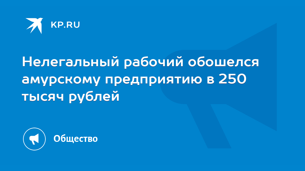 Нелегальный рабочий обошелся амурскому предприятию в 250 тысяч рублей -  KP.RU