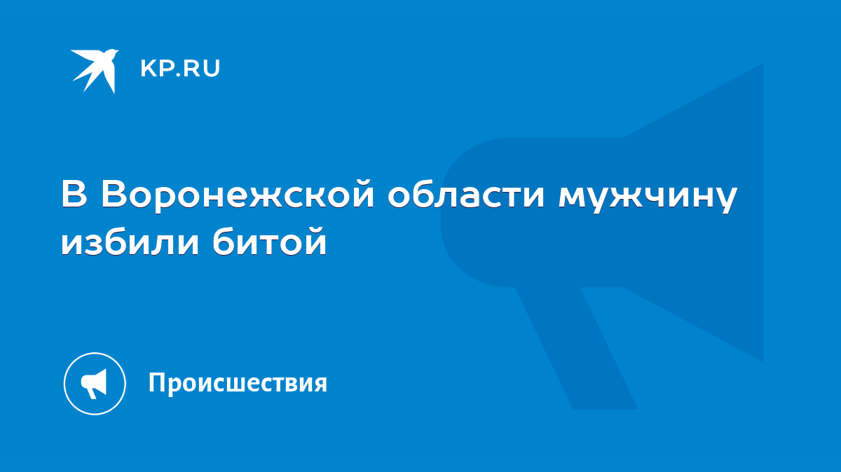 В Воронежской области мужчину избили битой - KP.RU