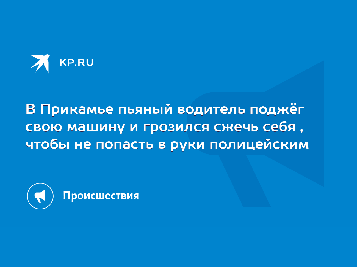 В Прикамье пьяный водитель поджёг свою машину и грозился сжечь себя , чтобы  не попасть в руки полицейским - KP.RU