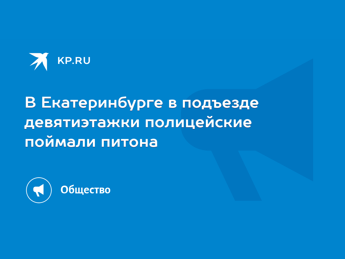 В Екатеринбурге в подъезде девятиэтажки полицейские поймали питона - KP.RU