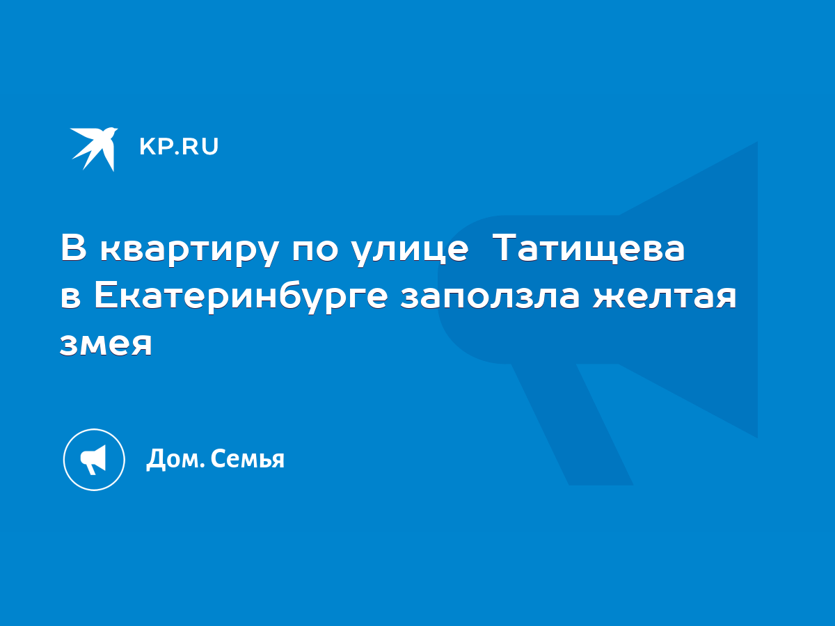 В квартиру по улице Татищева в Екатеринбурге заползла желтая змея - KP.RU