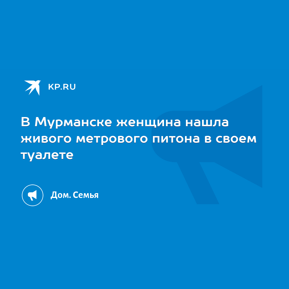 В Мурманске женщина нашла живого метрового питона в своем туалете - KP.RU