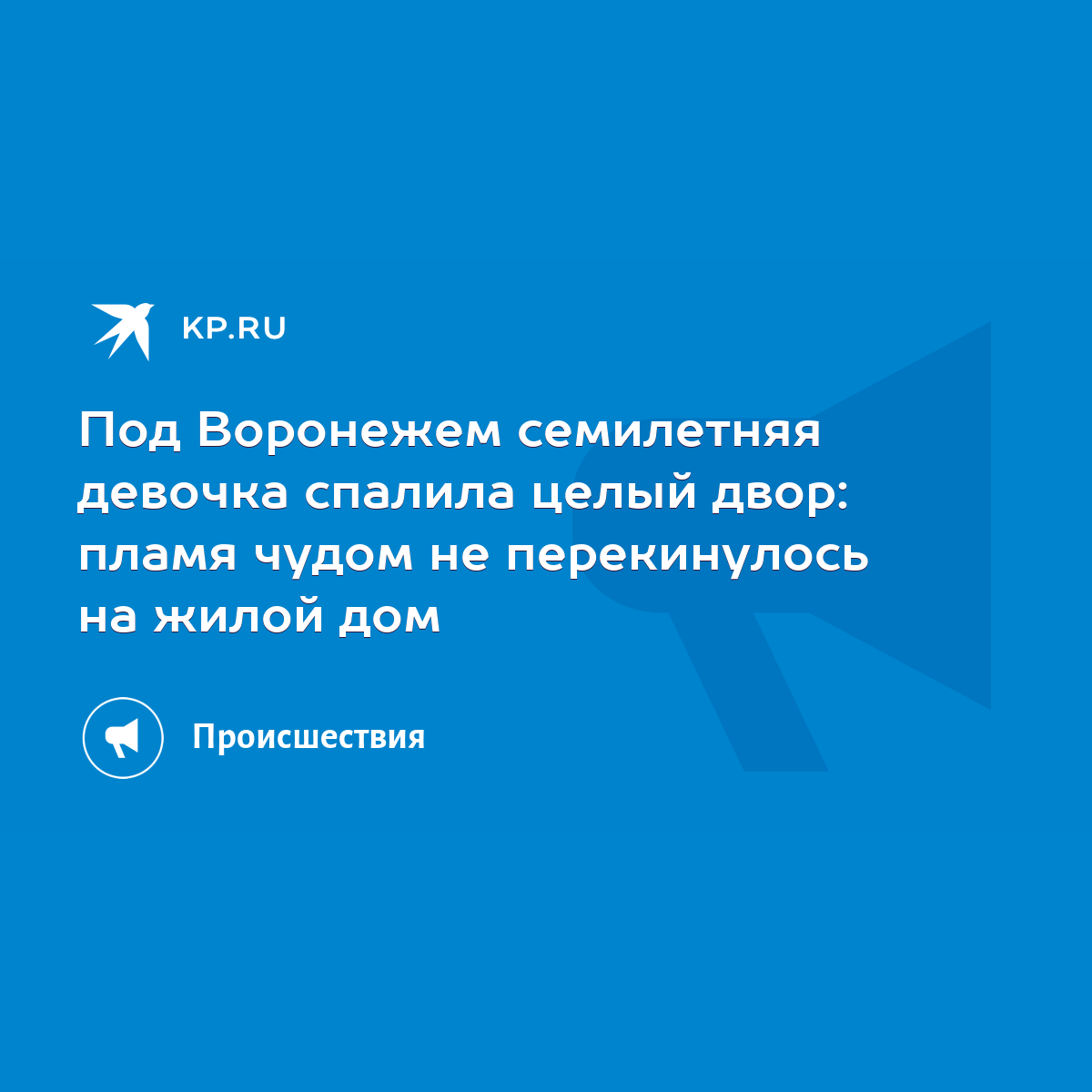 Под Воронежем семилетняя девочка спалила целый двор: пламя чудом не  перекинулось на жилой дом - KP.RU