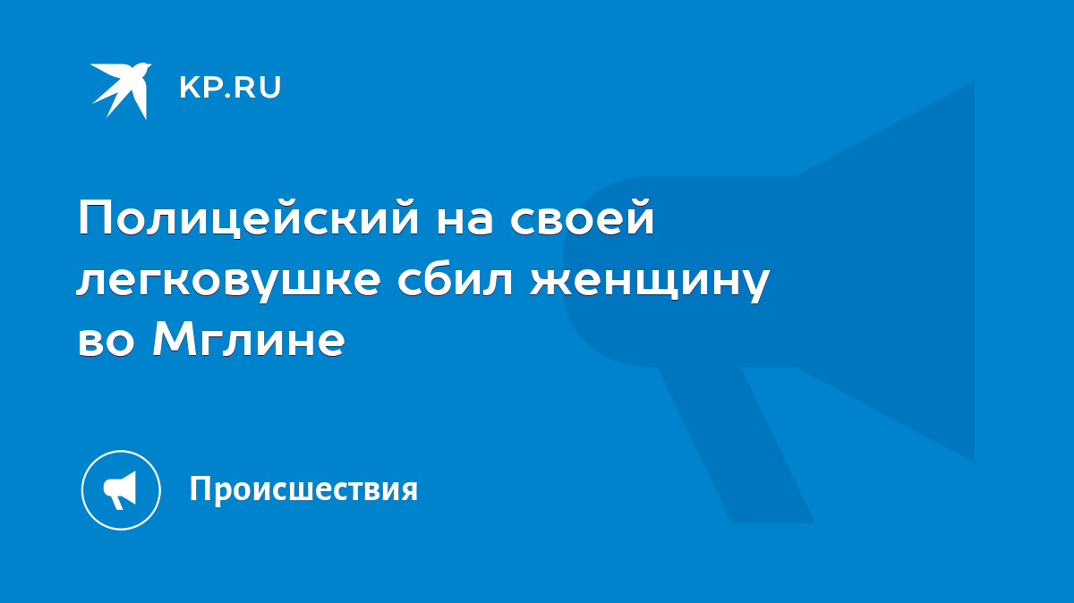 Полицейский на своей легковушке сбил женщину во Мглине - KP.RU