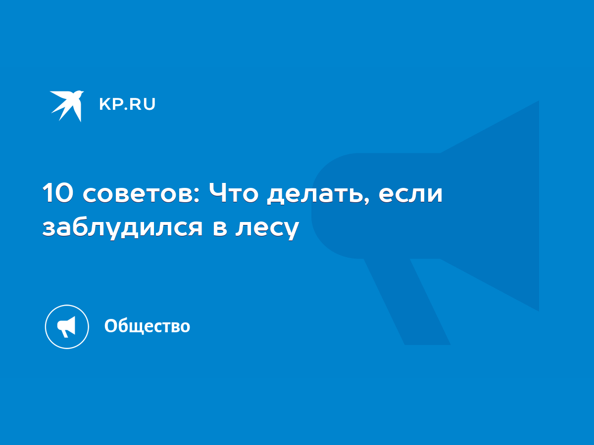 10 советов: Что делать, если заблудился в лесу - KP.RU