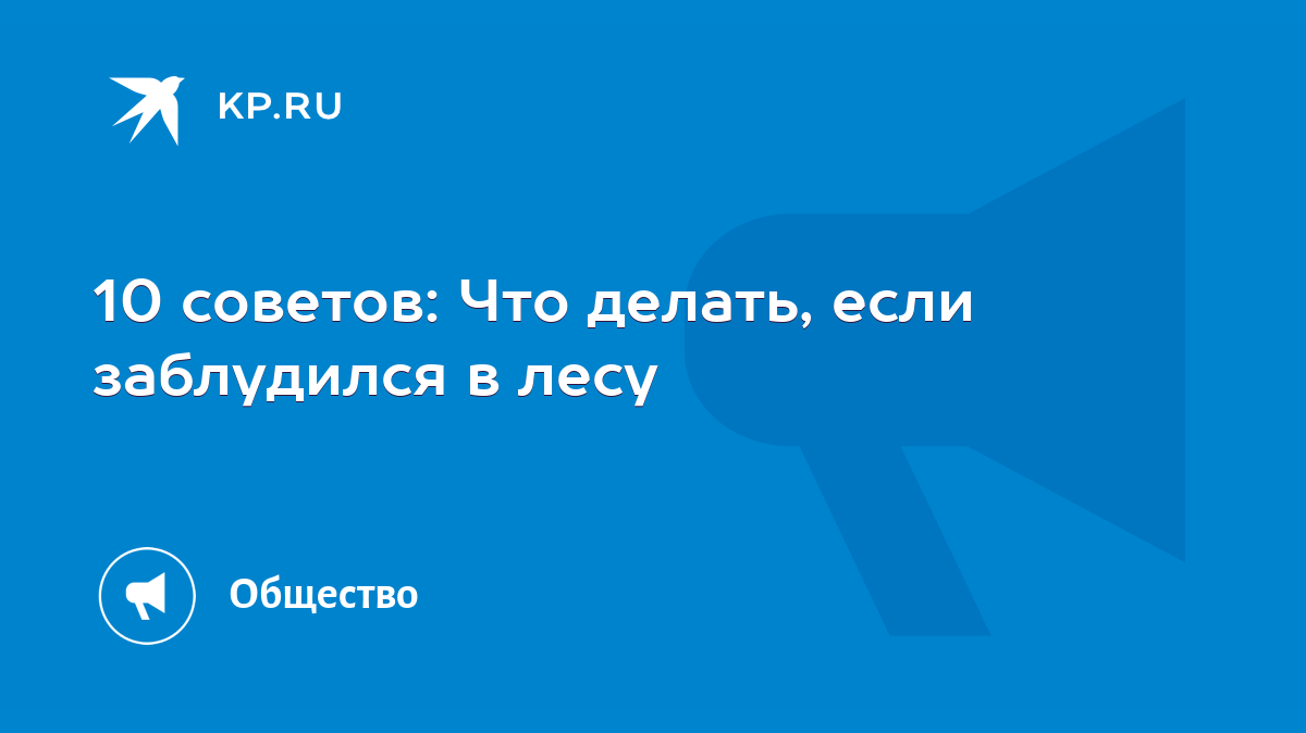 10 советов: Что делать, если заблудился в лесу - KP.RU