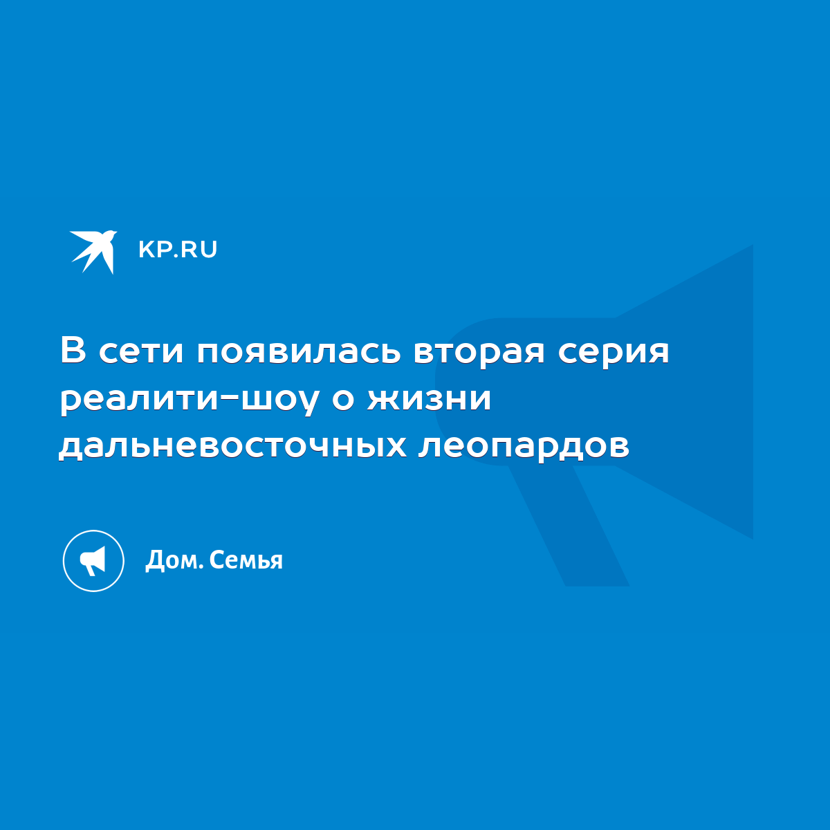 В сети появилась вторая серия реалити-шоу о жизни дальневосточных леопардов  - KP.RU