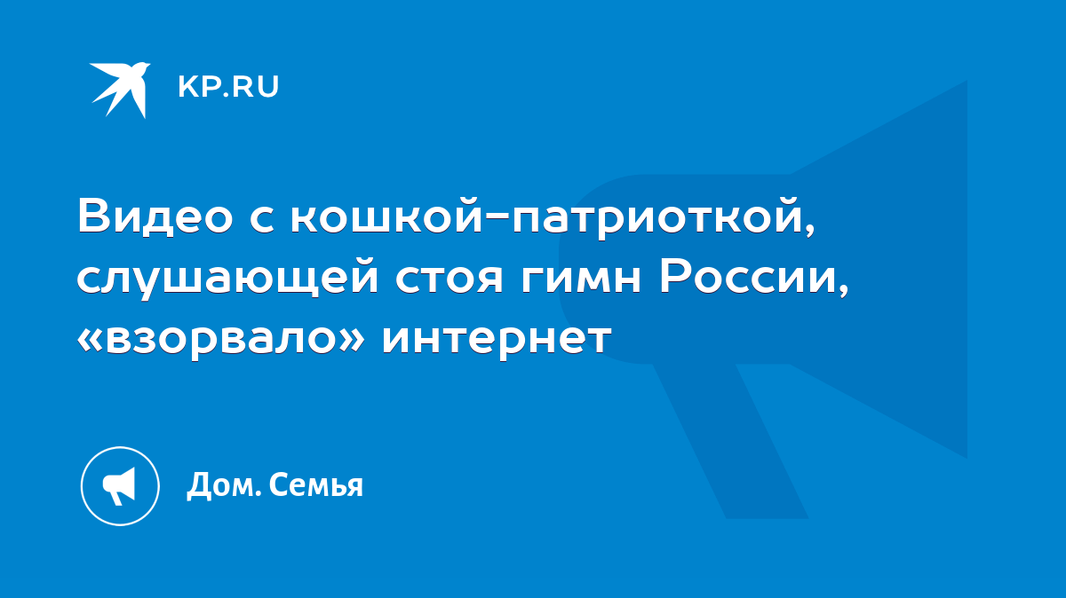 Видео с кошкой-патриоткой, слушающей стоя гимн России, «взорвало» интернет  - KP.RU