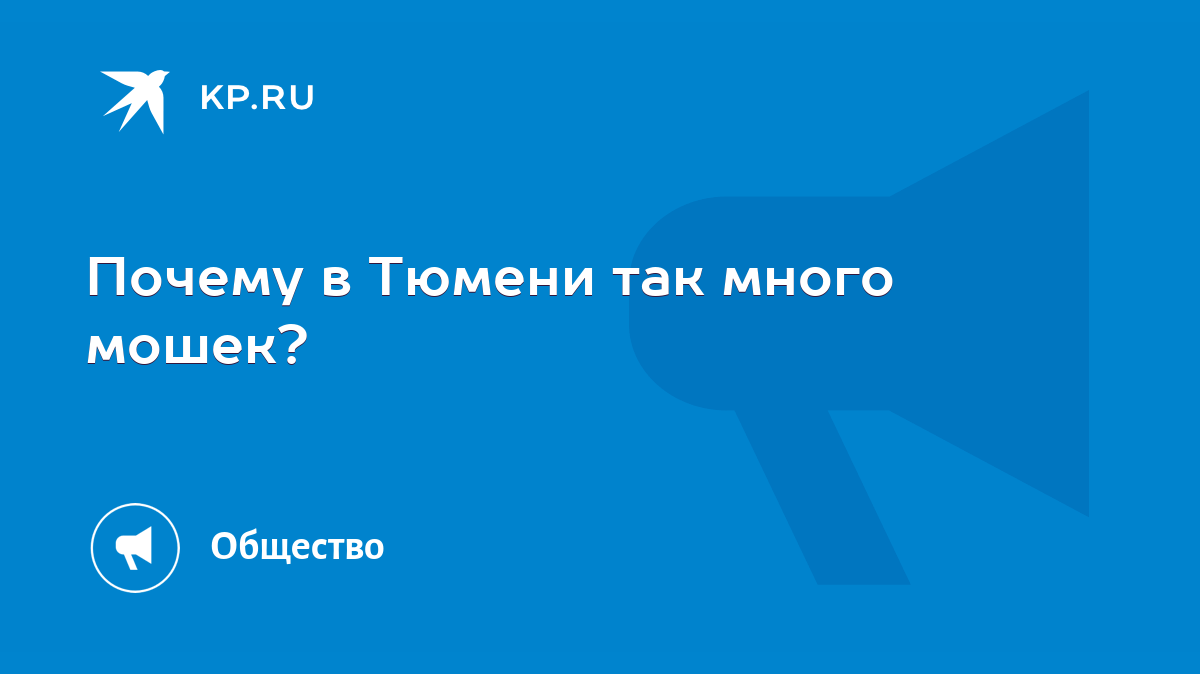 Почему в Тюмени так много мошек? - KP.RU