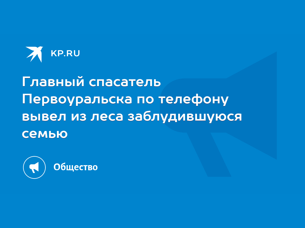 Главный спасатель Первоуральска по телефону вывел из леса заблудившуюся  семью - KP.RU