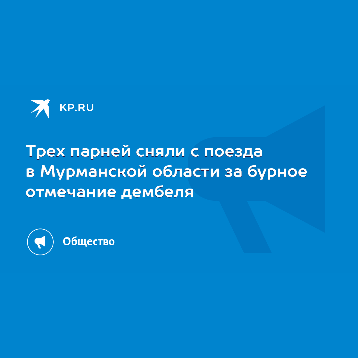 Трех парней сняли с поезда в Мурманской области за бурное отмечание дембеля  - KP.RU