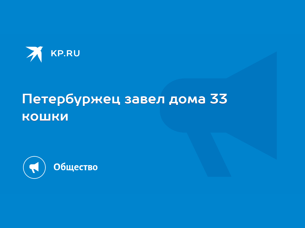 Петербуржец завел дома 33 кошки - KP.RU