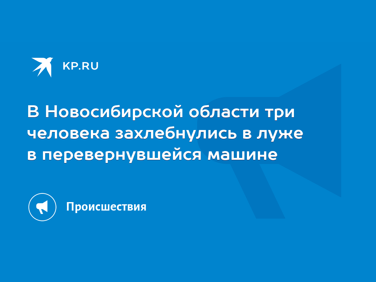 В Новосибирской области три человека захлебнулись в луже в перевернувшейся  машине - KP.RU