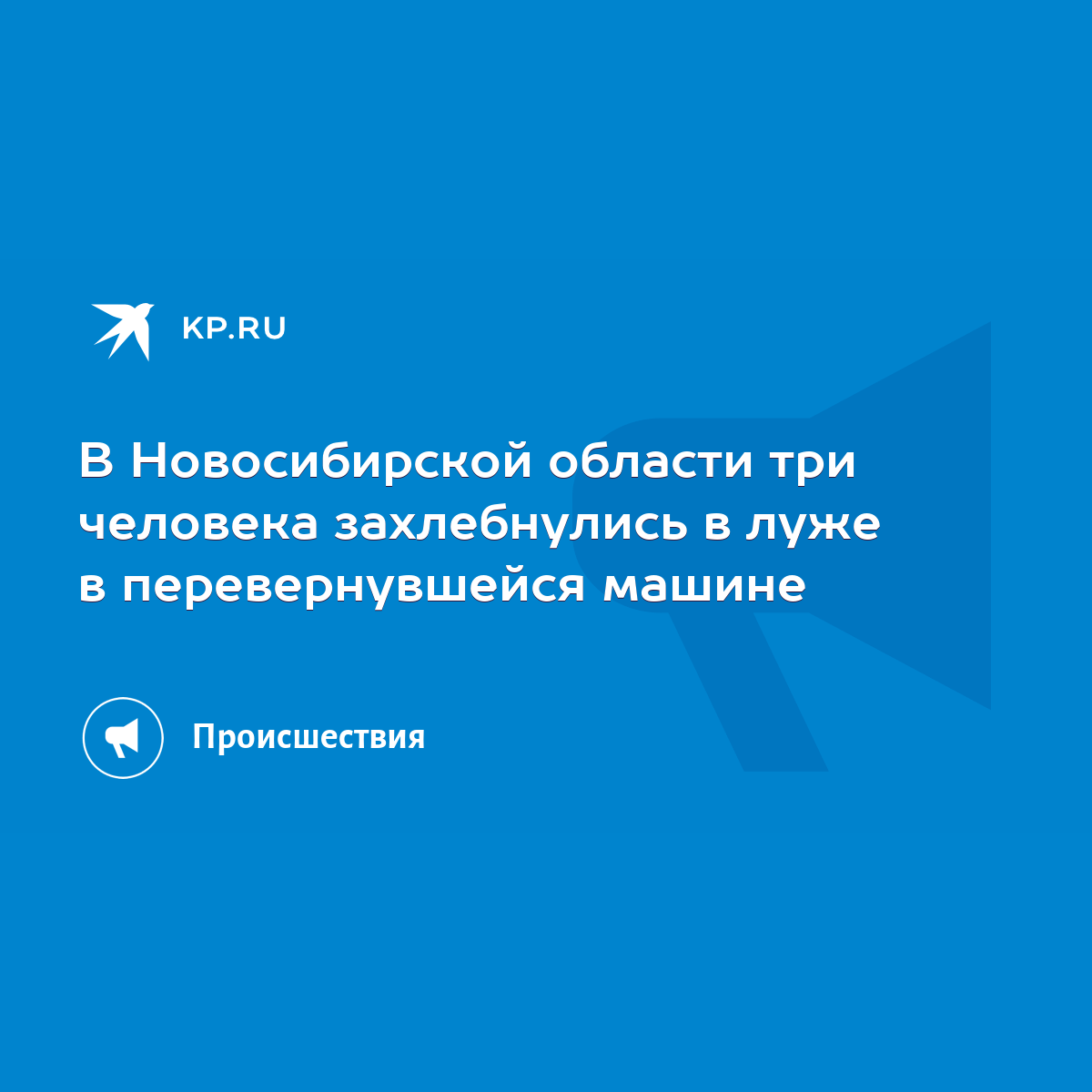 В Новосибирской области три человека захлебнулись в луже в перевернувшейся  машине - KP.RU