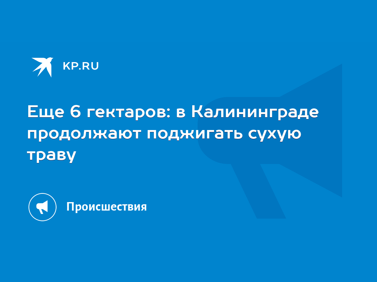 Еще 6 гектаров: в Калининграде продолжают поджигать сухую траву - KP.RU