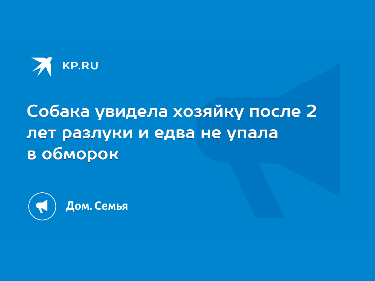 Собака увидела хозяйку после 2 лет разлуки и едва не упала в обморок - KP.RU