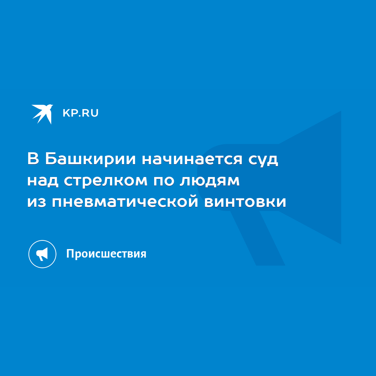 В Башкирии начинается суд над стрелком по людям из пневматической винтовки  - KP.RU