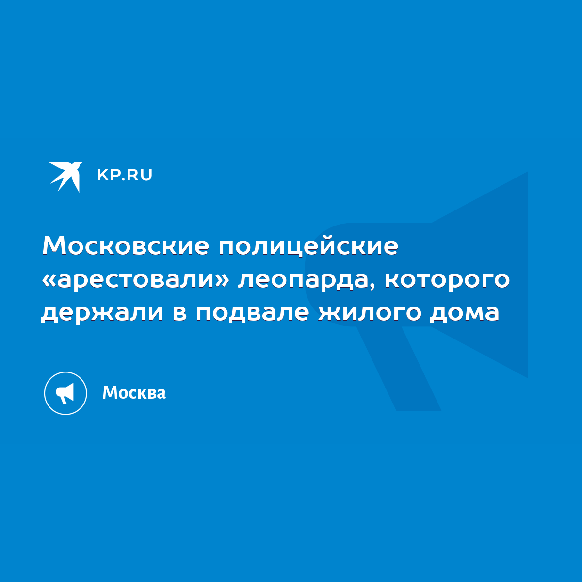 Московские полицейские «арестовали» леопарда, которого держали в подвале  жилого дома - KP.RU