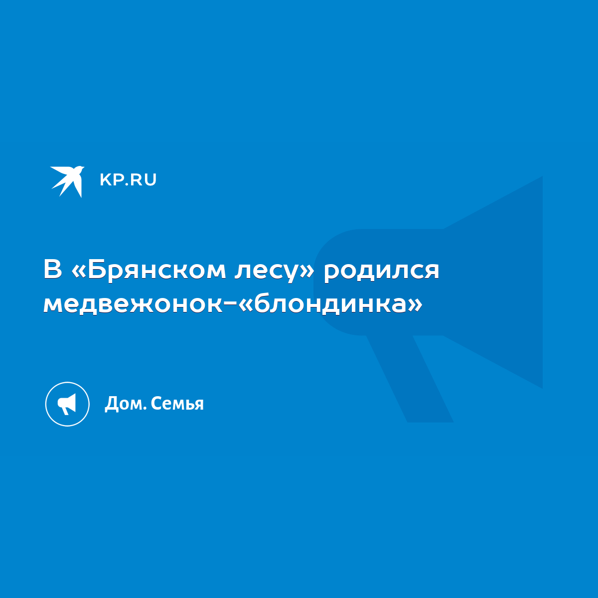 В «Брянском лесу» родился медвежонок-«блондинка» - KP.RU