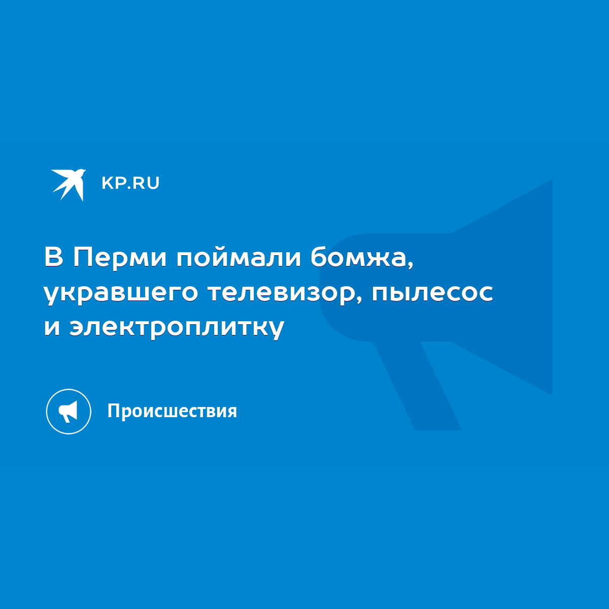 В Перми поймали бомжа, укравшего телевизор, пылесос и электроплитку - KP.RU