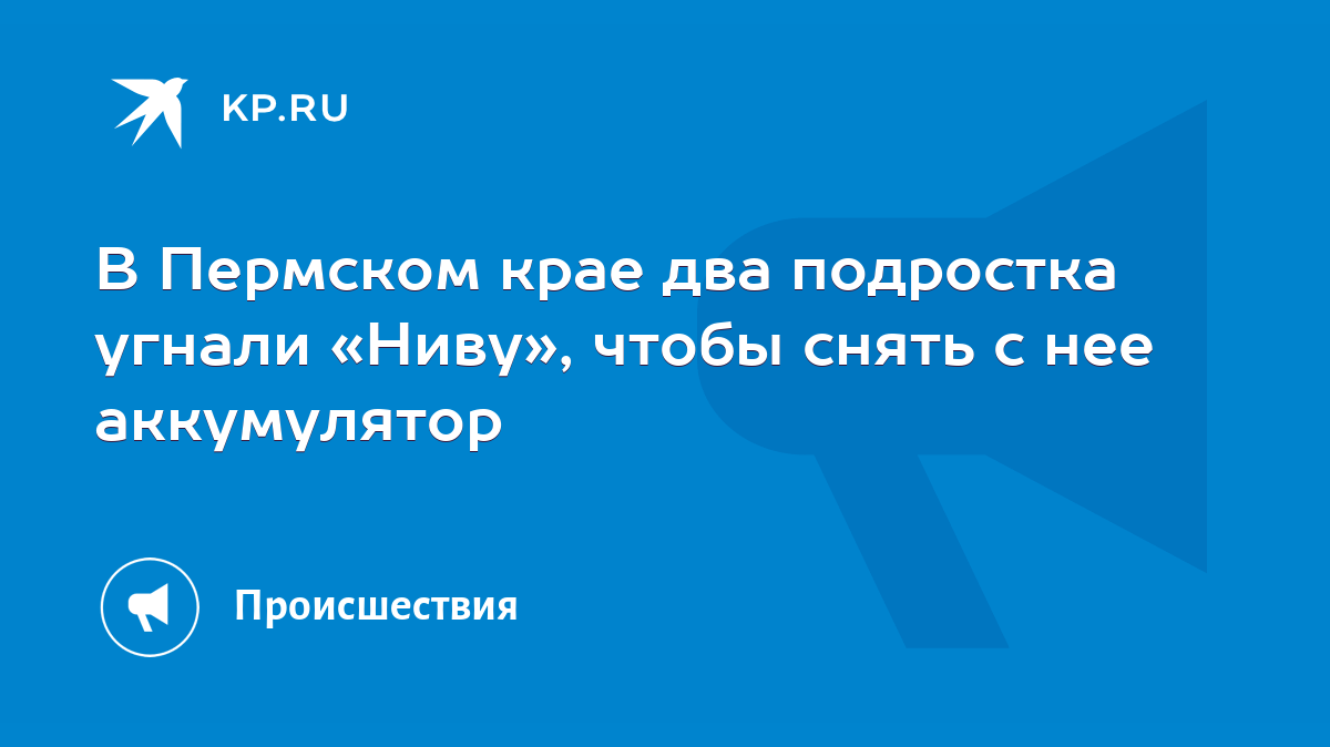 В Пермском крае два подростка угнали «Ниву», чтобы снять с нее аккумулятор  - KP.RU