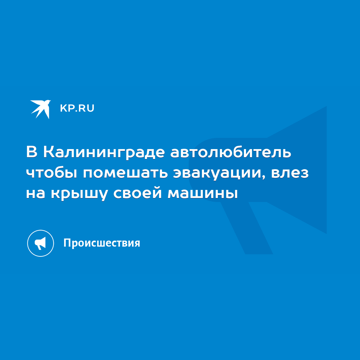 В Калининграде автолюбитель чтобы помешать эвакуации, влез на крышу своей  машины - KP.RU