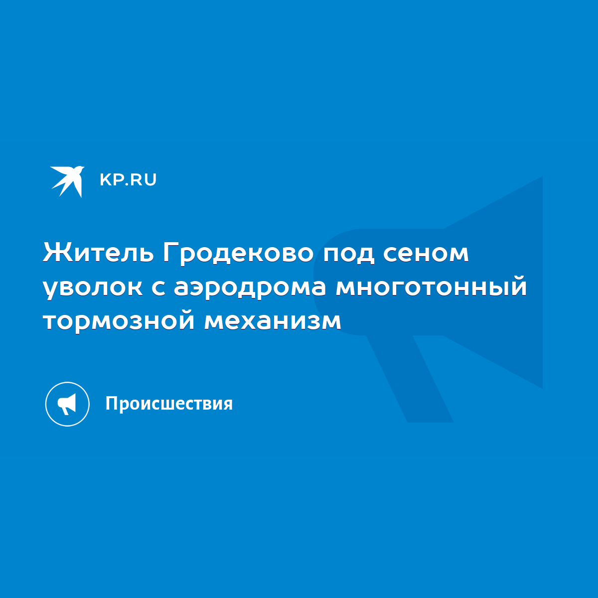 Житель Гродеково под сеном уволок с аэродрома многотонный тормозной  механизм - KP.RU