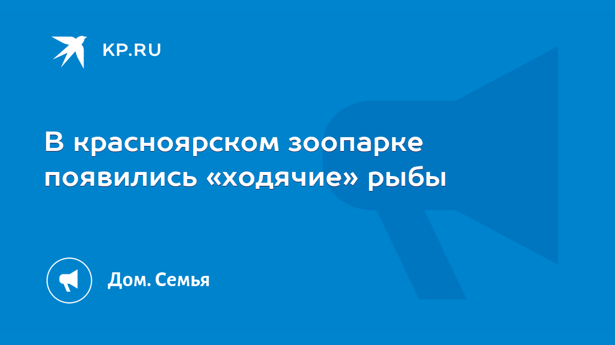 В красноярском зоопарке появились «ходячие» рыбы - KP.RU