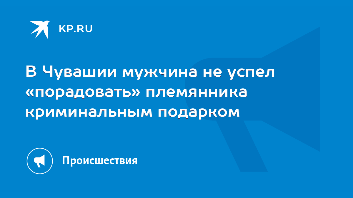 В Чувашии мужчина не успел «порадовать» племянника криминальным подарком -  KP.RU