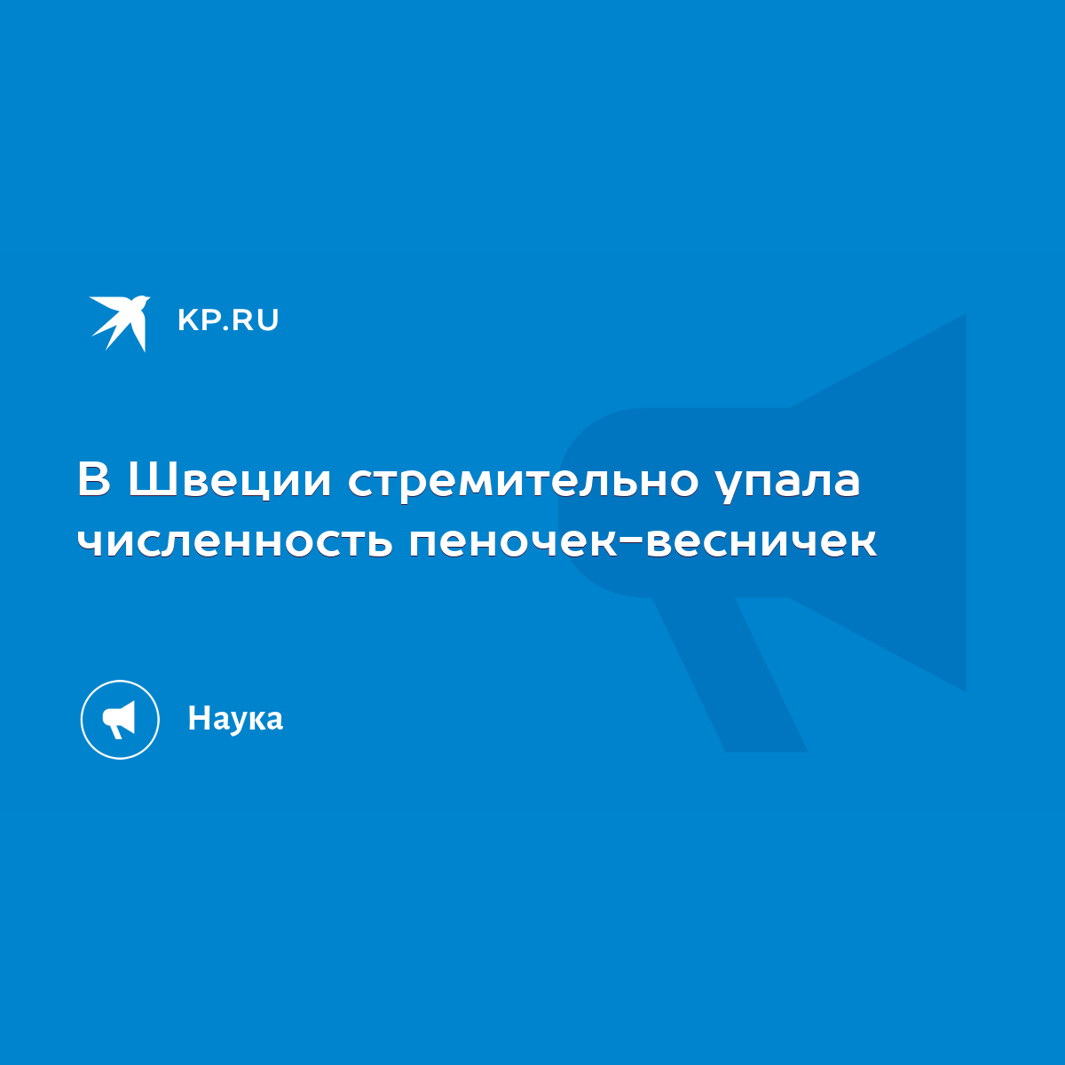 В Швеции стремительно упала численность пеночек-весничек - KP.RU