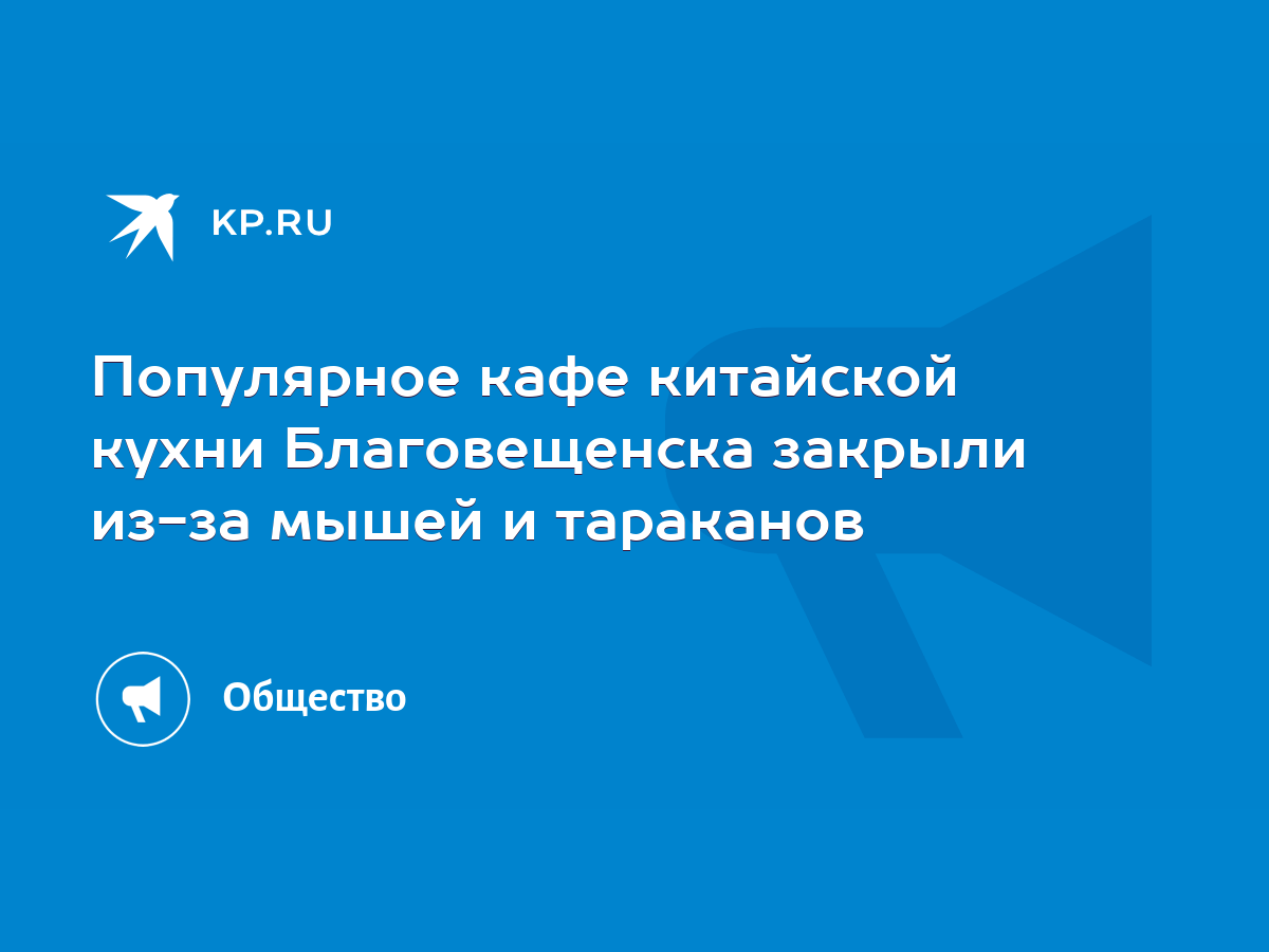 Популярное кафе китайской кухни Благовещенска закрыли из-за мышей и  тараканов - KP.RU