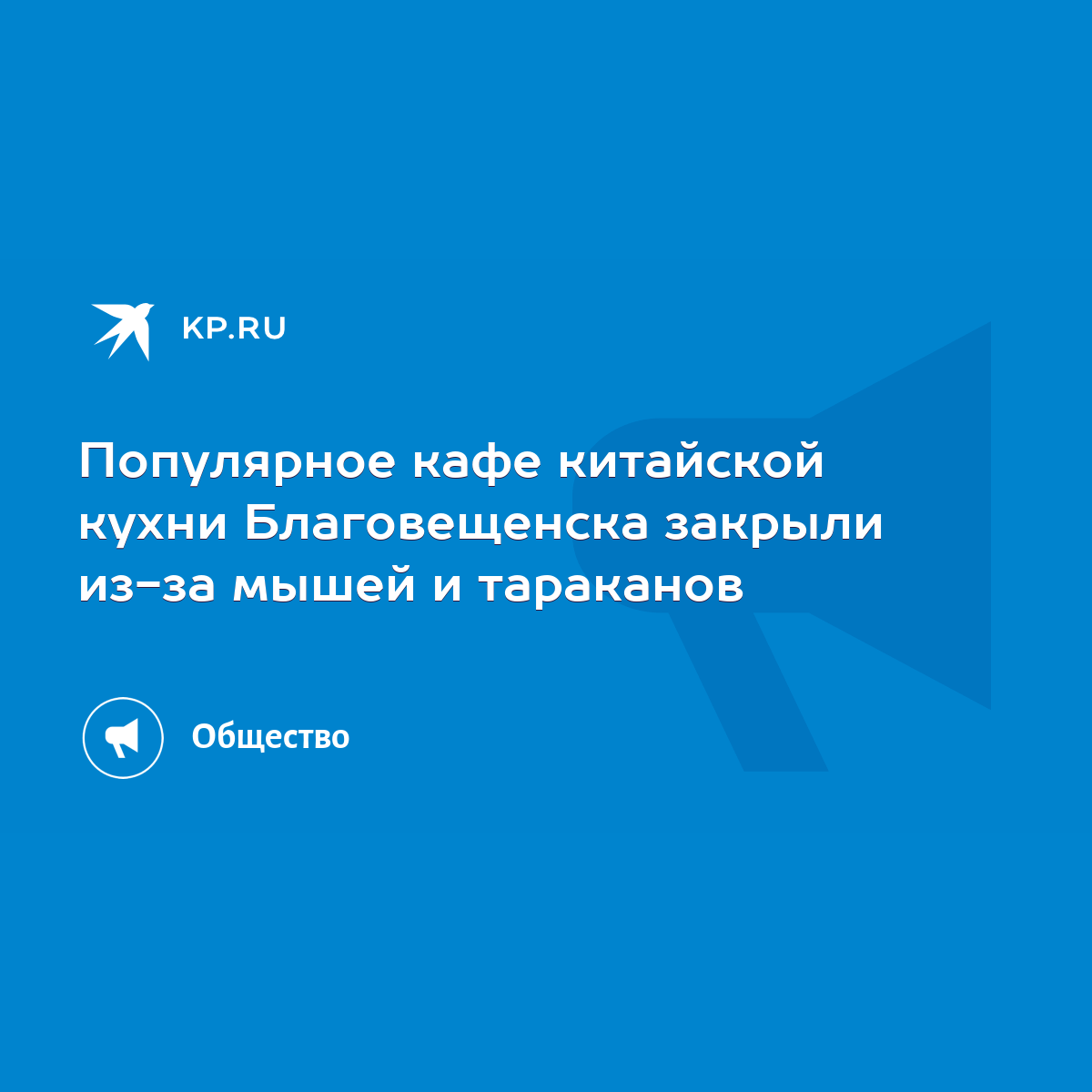 Популярное кафе китайской кухни Благовещенска закрыли из-за мышей и  тараканов - KP.RU