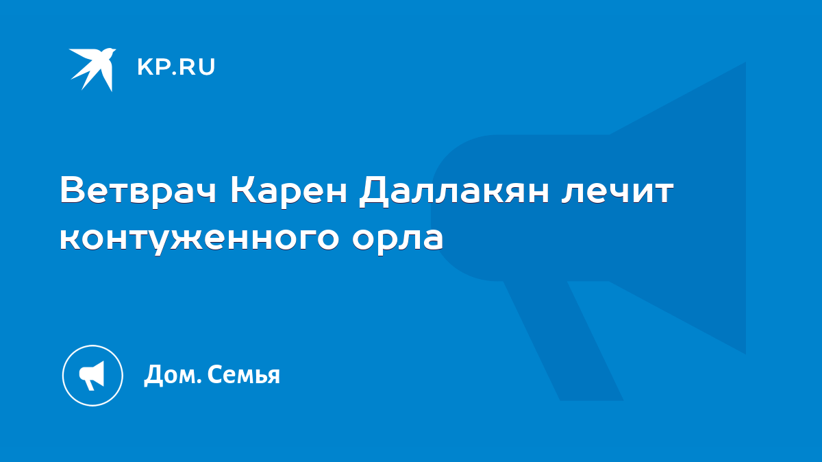 Ветврач Карен Даллакян лечит контуженного орла - KP.RU