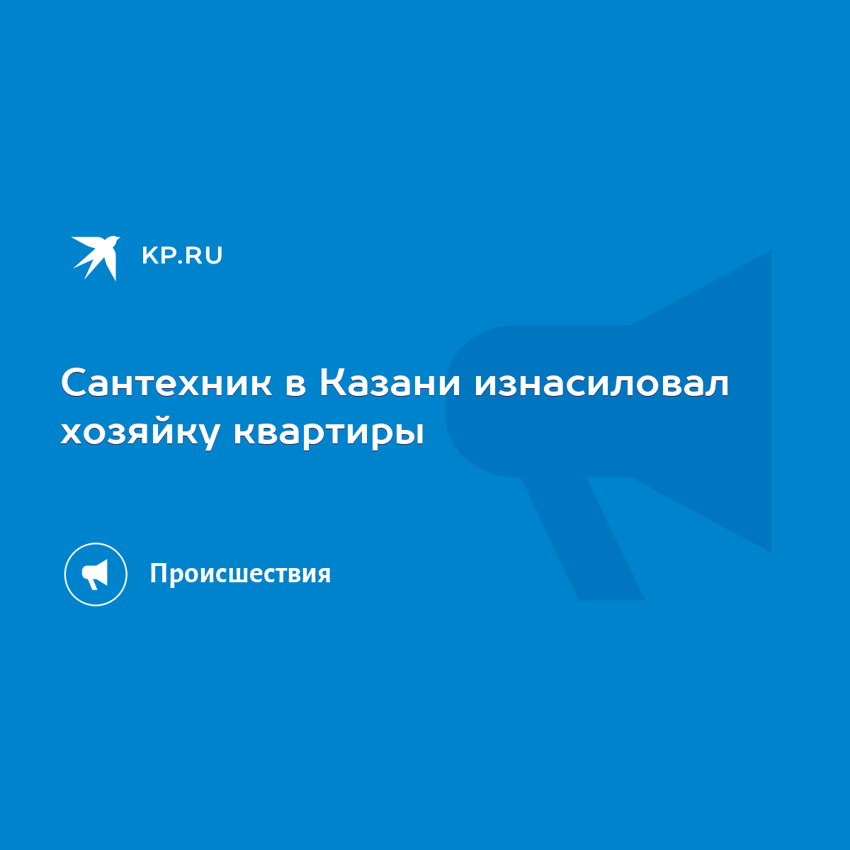 Сантехник в Казани изнасиловал хозяйку квартиры - KP.RU